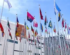 曼联vs布莱顿比分